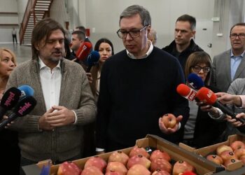 Dobre vesti za Vrščane: Predsednik Vučić posetio kompaniju Celanova agro