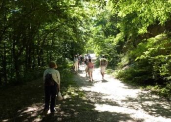 TO Vršac: Besplatan autobuski prevoz za prvomajski uranak
