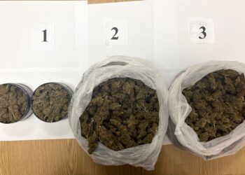 Kriminalistička policija kod Alibunara zaplenila preko kilograma marihuane