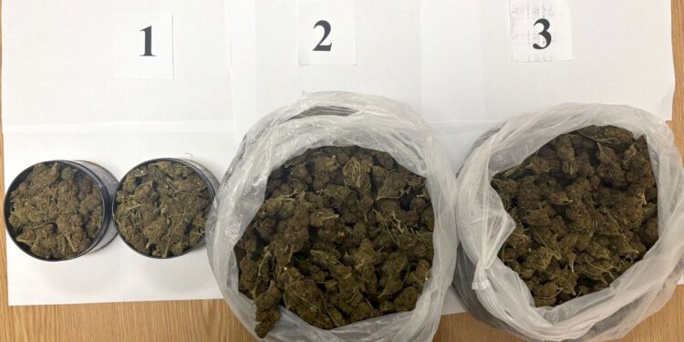 Kriminalistička policija kod Alibunara zaplenila preko kilograma marihuane
