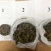 Kriminalistička policija kod Alibunara zaplenila preko kilograma marihuane