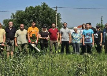 Vršački Pokret gorana orezivao jasenove na Središtanskom putu