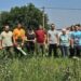 Vršački Pokret gorana orezivao jasenove na Središtanskom putu