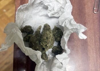 MUP Potvrdio: Blokaderima iz Plandišta pronađena droga