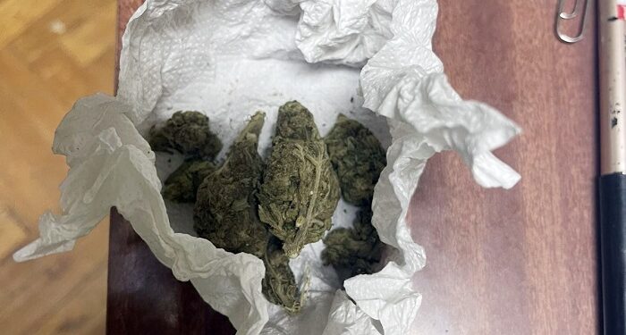 MUP Potvrdio: Blokaderima iz Plandišta pronađena droga