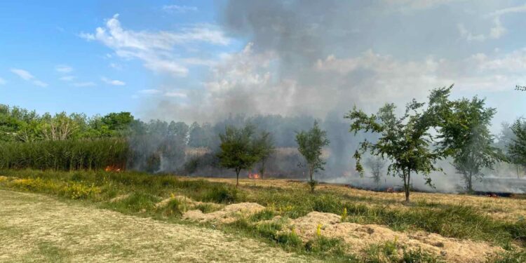 Plandište: Brzom intervencijom vatrogasci sprečili širenje požara u ataru
