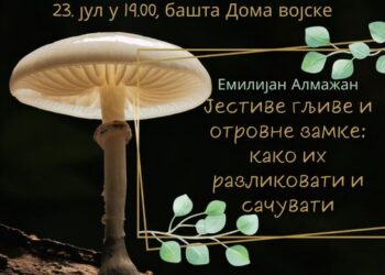Predavanje „Jestive gljive i otrovne zamke: kako ih razlikovati i sačuvati“