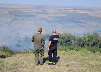 Požar na Vršačkom bregu u potpunosti lokalizovan, sledi uviđaj