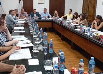 Plandište: Održana 10. sednica Skupštine, Rade Brdar imenovan za vd direktora JP Polet
