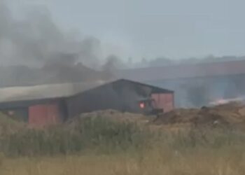 Ponovo požar u Vršcu: Vatra ugrožava objekte ispod Podvršanske (VIDEO)