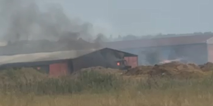 Ponovo požar u Vršcu: Vatra ugrožava objekte ispod Podvršanske (VIDEO)