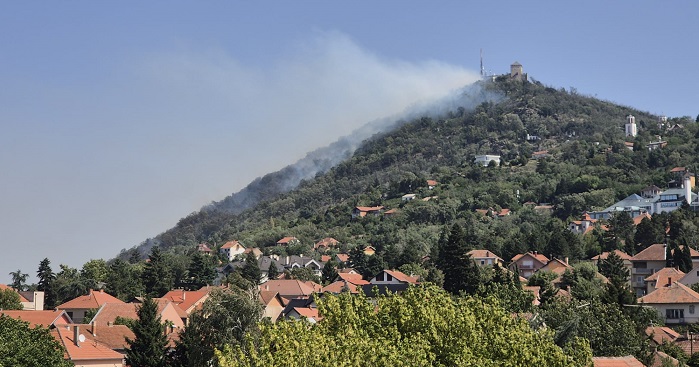 Vatrena stihija „guta“ Vršački breg: Vetar ne dozvoljava gašenje požara