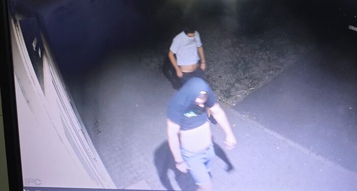Vandali razbili prostorije SNS u Alibunaru: Počupali i kamere, ali su snimljeni!