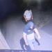 Vandali razbili prostorije SNS u Alibunaru: Počupali i kamere, ali su snimljeni!
