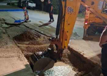 JKP Drugi oktobar ne planduje za vreme Grožđebala: Problemi se rešavaju HITNO!