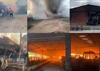 Fondacija Humanost u srcu priključila se Gradu Vršcu u pomoći vršačkim porodicama