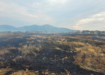 Traži se odgovornost: Grad Vršac odlučan da se incident sa požarom ne ponovi