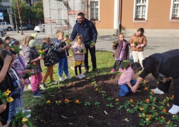 Dečja akcija sadnje cveća u okviru Oktobra – meseca čistoće