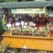 Magična jesen: Opričić posetio štand najmlađih članova Pokreta gorana