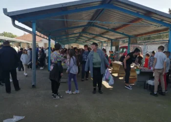 Plandište: Školski bazar u sklopu obeležavanja Dečije nedelje