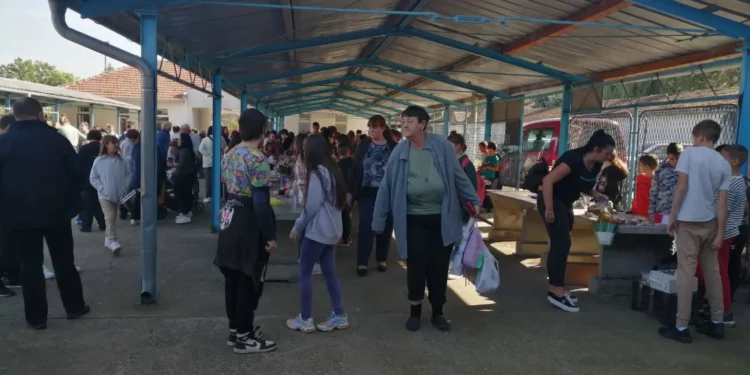 Plandište: Školski bazar u sklopu obeležavanja Dečije nedelje