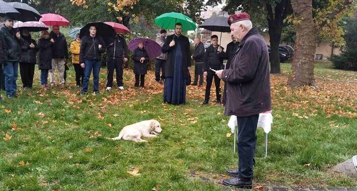 U Vršcu obeležena slava RVI – Mitrovdan