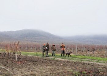 Prvenstvo Lovačkog saveza Vojvodine održano u Vršcu
