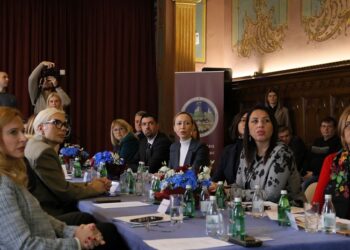 Panel diskusija „Osnaživanje i podrška za žene ugrožene nasiljem” održana u Vršcu