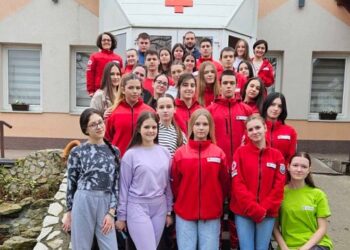 Crveni krst Vršac: Obuka za vršnjačke edukatore iz Prve pomoći
