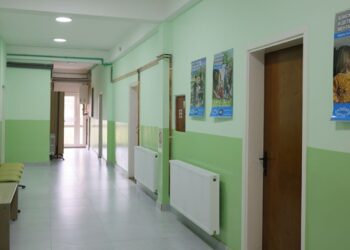 Dom zdravlja Vršac uvodi redovan rad pedijatra i ginekologa u Uljmi