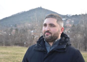 Vršac dobio novi drvored: Posađeno 25 školovanih sadnica sibirskog bresta