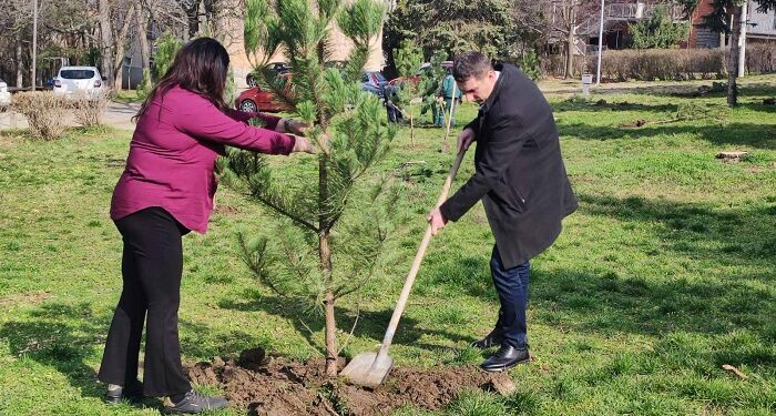 JKP Drugi oktobar obnovilo park zimzelena na Sunčanom trgu