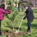 JKP Drugi oktobar obnovilo park zimzelena na Sunčanom trgu