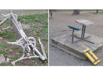 Apel JKP Drugi oktobar: Čuvajmo zajedno naš Gradski park!
