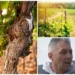 Vinarija Nedin za RTS1: Hoće li rat u svetu uticati i na cenu vina?