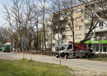 JP Polet: Prolećno uređenje javnih površina