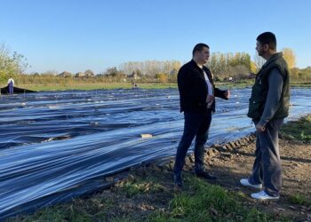Predsednik Repac obišao radove na pošumljavanju javnih površina