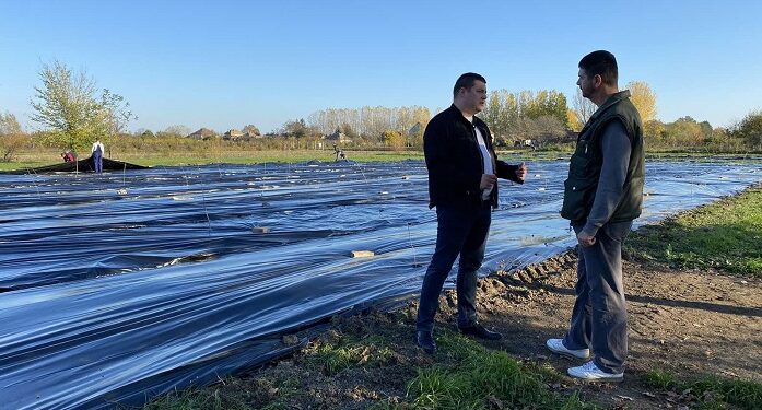 Predsednik Repac obišao radove na pošumljavanju javnih površina