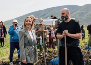 Akcija sadnje vetrozaštitnog pojasa na Vršačkim planinama: Novih 9.000 sadnica za zaštitu prirode