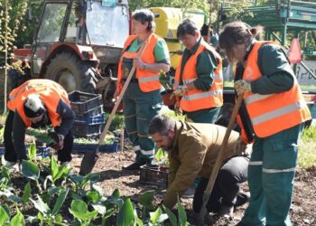 JKP Drugi oktobar i Grad Vršac obnavljaju mali park u Fruškogorskoj ulici