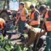 JKP Drugi oktobar i Grad Vršac obnavljaju mali park u Fruškogorskoj ulici