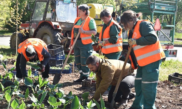 JKP Drugi oktobar i Grad Vršac obnavljaju mali park u Fruškogorskoj ulici