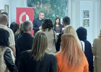 KC Vršac: Otvorena izložba Danijele Krcić
