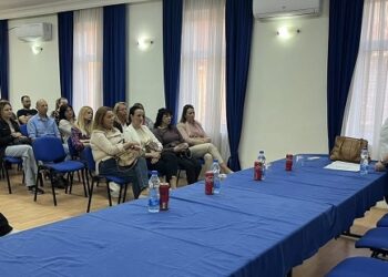 SNS Bela Crkva organizovao tribinu o prevenciji nasilja u porodici
