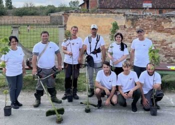 Aktivisti SNS organizovali akcije uređenja u Kajtasovu, Beloj Crkvi i Grebencu