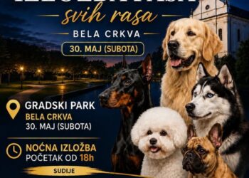 Deseta Nacionalna izložba pasa u subotu u Beloj Crkvi