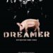 Vršačka multimedijalna umetnica Elka Gorički Jelena predstavlja projekat „DREAMER-algoritam koji sanja”
