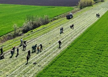 Gradu Vršcu 5,6 miliona dinara za novi ekološki projekat