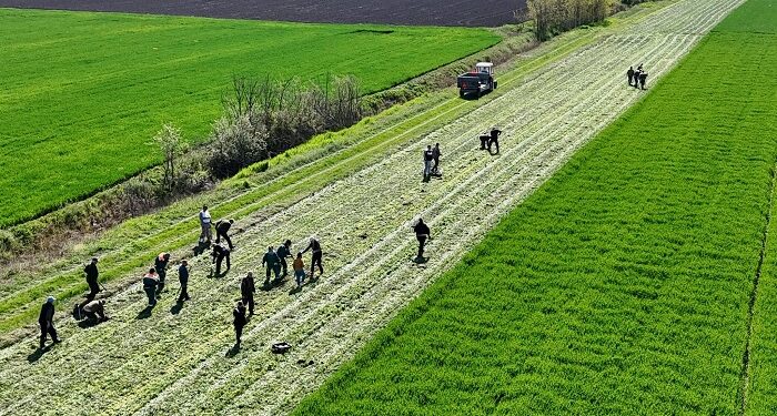 Gradu Vršcu 5,6 miliona dinara za novi ekološki projekat