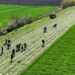 Gradu Vršcu 5,6 miliona dinara za novi ekološki projekat